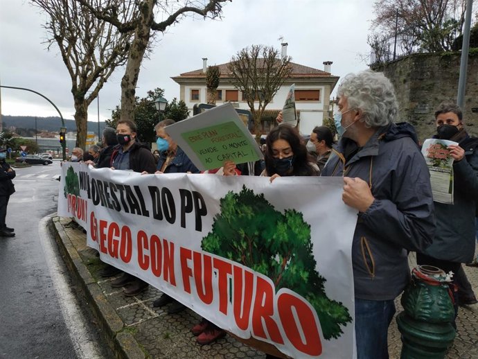 Protesta en contra del plan forestal enfrente del Parlamento
