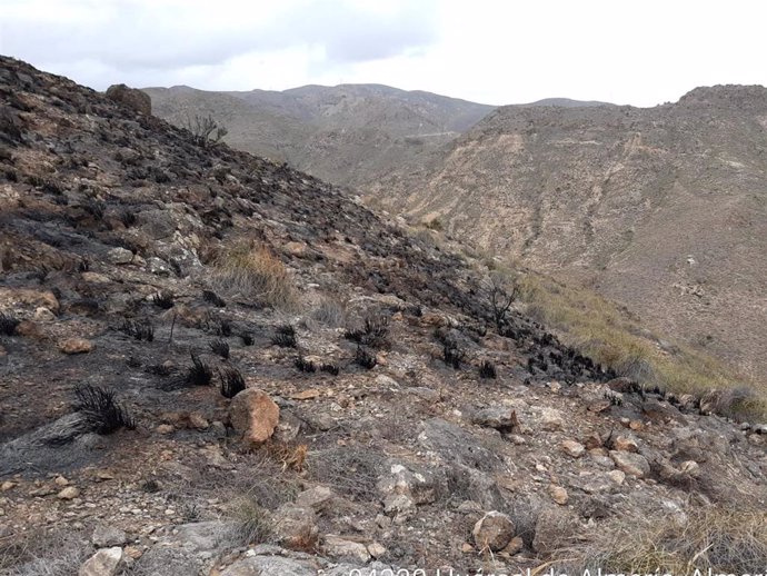 Incendio forestal controlado en Gádor (Almería)