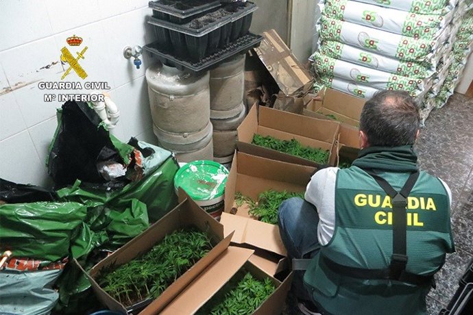 Marihuana intervenida en una vivienda de Adra (Almería)