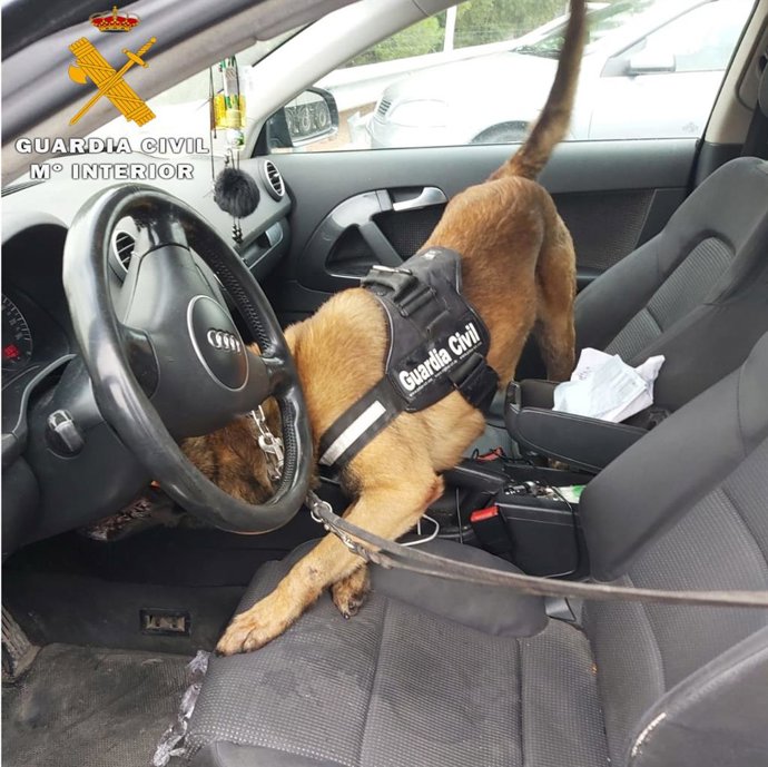 La droga, oculta tras el cuentakilómetros de un vehículo, fue marcada por un can detector de estupefacientes del Cuerpo.