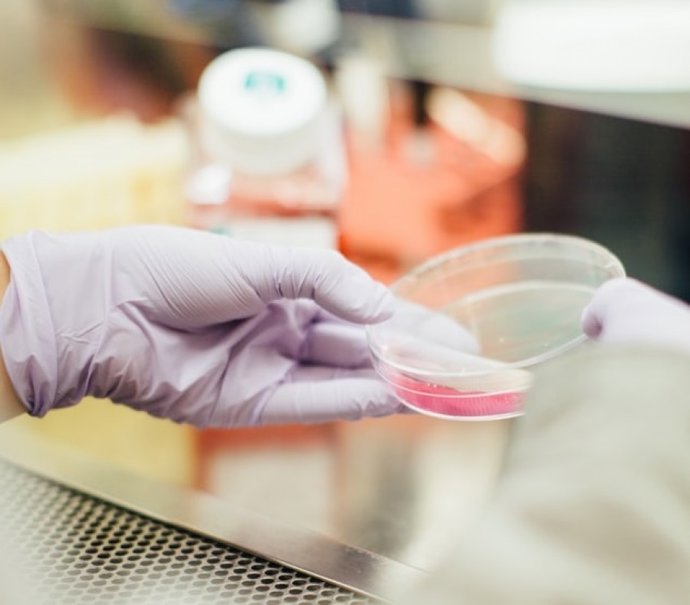 Archivo - Imagen de archivo de laboratorio.