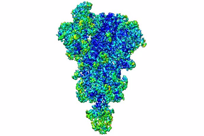 Reconstrucción en 3D de la proteína spike del SARS-CoV-2
