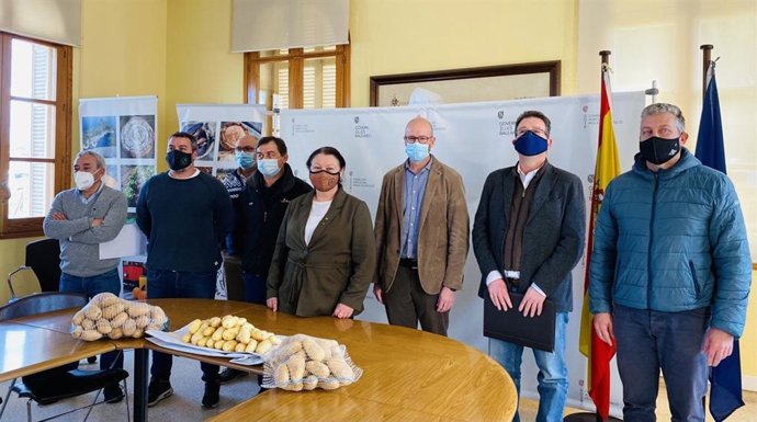 Representantes de la Conselleria de Agricultura, Pesca y Alimentación anuncian que se mantendrá la exportación de patatas con Reino Unido a pesar del Brexit.