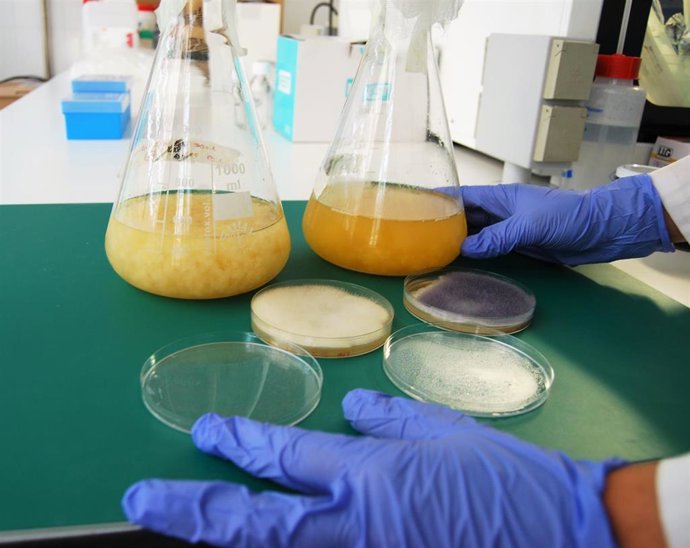 Archivo - Personal investigador del área de biotecnología