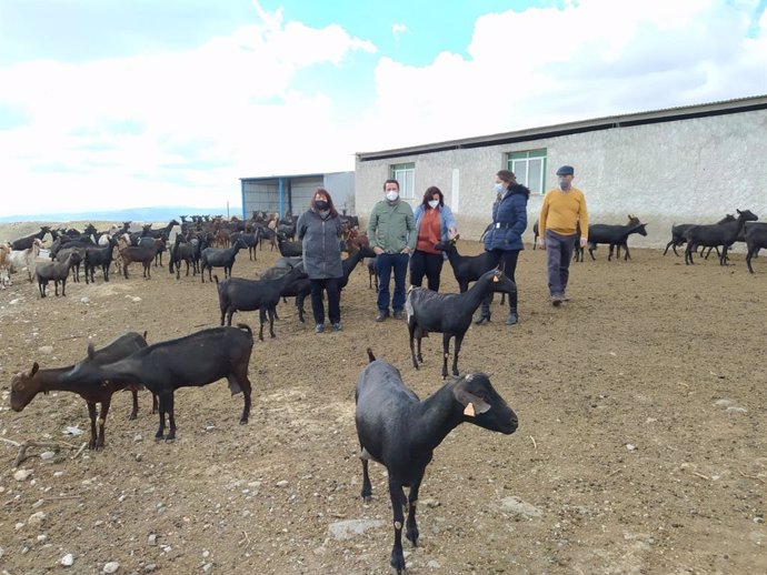 El portavoz de Agricultura del PPA, José Ramón Carmona, visita una explotación caprina de Taberno (Almería)