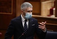 Marlaska pide a Vox que, además de la violencia por Hasél, condene el machismo y expresiones como peste china