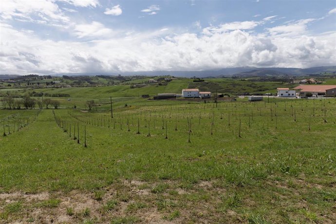 Archivo - Explotación agraria en Cantabria