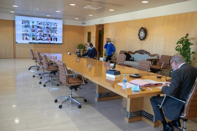 Villalobos sigue el pleno telemático de la Diputación