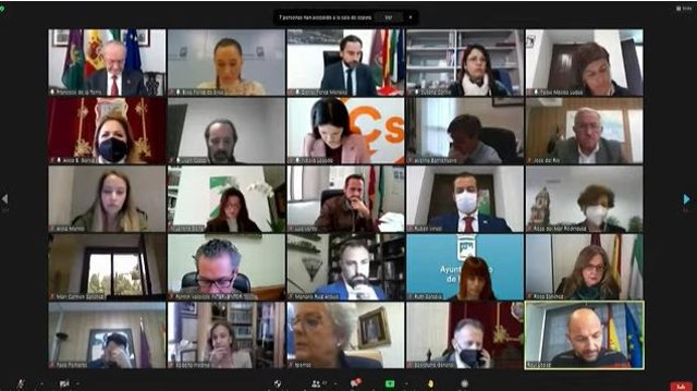 Pleno telemático del Ayuntamiento de Málaga