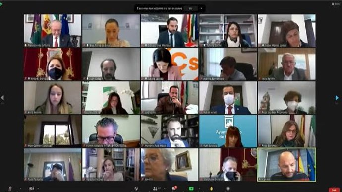 Pleno telemático del Ayuntamiento de Málaga