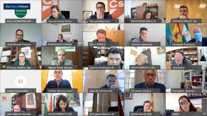 Pleno de febrero de la Diputación