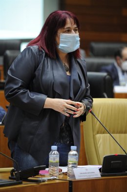 La consejera de Agricultura, Begoña García Bernal, en el Pleno de la Asamblea.