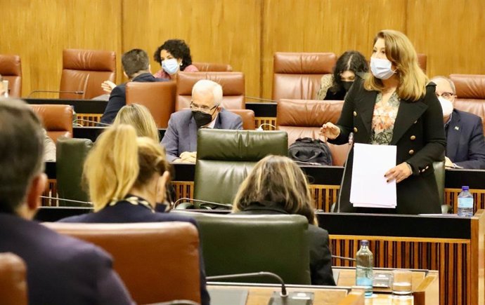 La consejera de Agricultura, Ganadería y Pesca, Carmen Crespo, en el Parlamento andaluz.