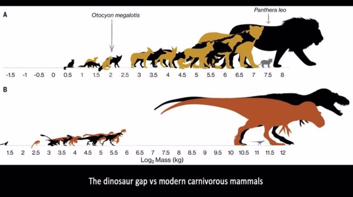 Brecha entre dinosaurios y mamíferos carnívoros modernos