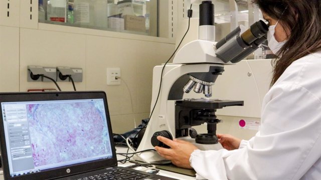 Investigación del nanomedicamento para tratar la enfermedad rara de Fabry.