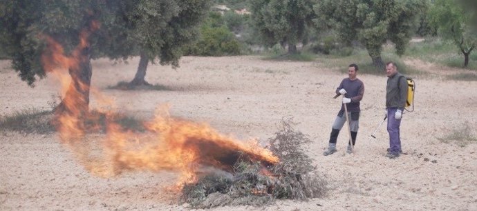 El Departamento de Agricultura del Gobierno de Aragón mantendrá el periodo de quemas controladas hasta el 31 de marzo.