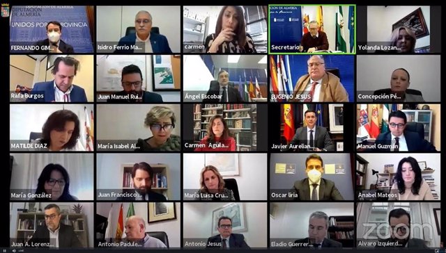 Pleno telemático de la Diputación de Almería