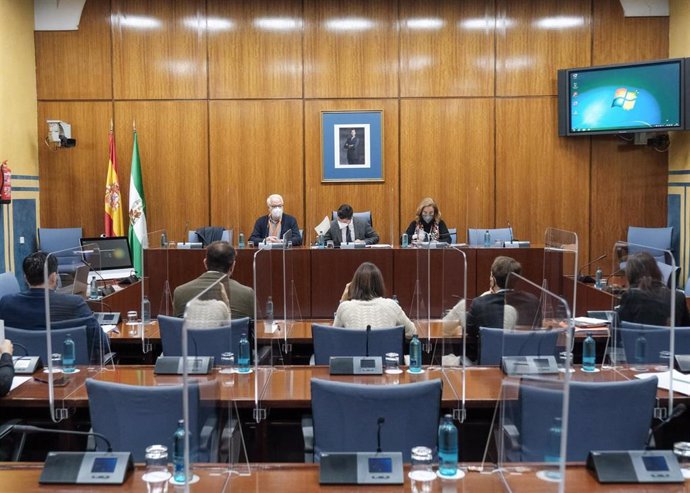 Foto de archivo de la comisión de investigación sobre la Faffe del Parlamento andaluz. Citación del exsecretario general de Empleo Francisco Javier Aguado