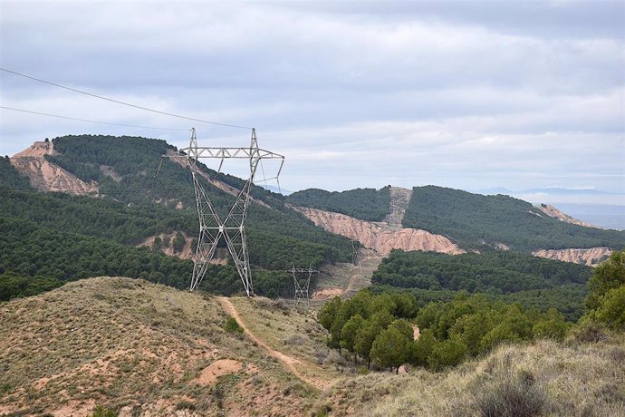 Un estudio de la UAB refleja que el espacio bajo líneas eléctricas en zona forestal protege biodiversidad y fauna