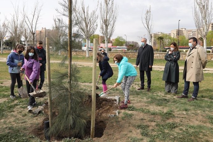 Plantación de cien ejemplares donados por ACOMZA realizada por escolares con el alcalde, Jorge Azcón