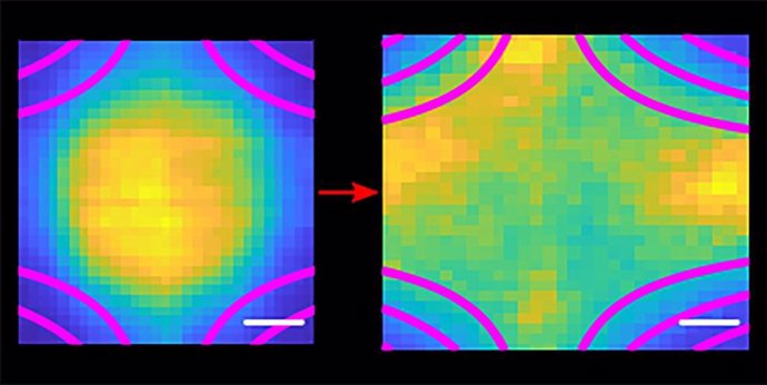 Las imágenes producidas por fluorescencia inducida por láser muestran cómo se comporta una nube de plasma ultrafrío (amarillo y dorado) que se expande rápidamente cuando está confinada por un imán cuadrupolo.