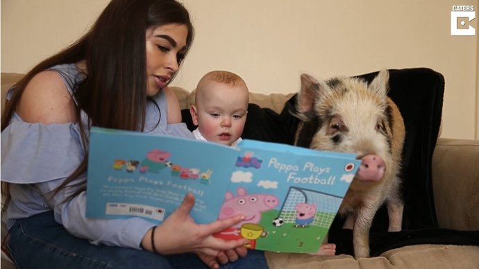 Este niño de 13 meses vive con una cerdita llamada Peppa, en honor a Peppa pig, su dibujo animado preferido