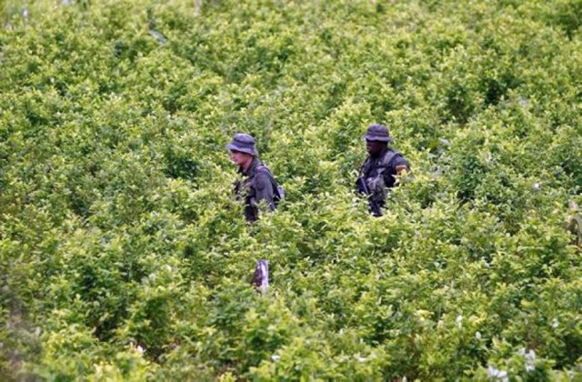 Estados Unidos certifica a Colombia por su la lucha contra el narcotráfico