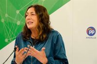 PP-A critica que López se "agarre al sillón" como presidente de la Cámara de Cuentas cuando su mandato "ha expirado"