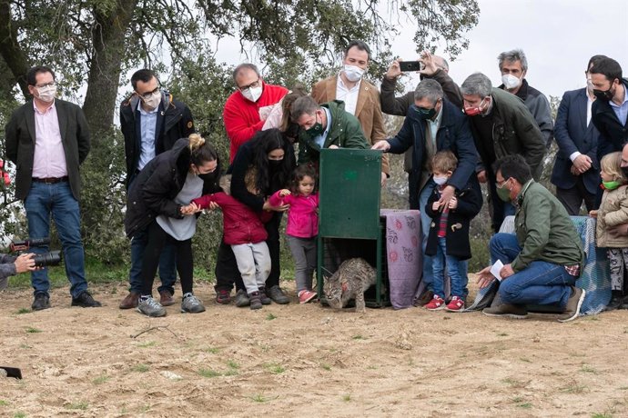 El presidente de C-LM, Emiliano García-Page, liberando uno de los linces puestos en libertad en El Borril