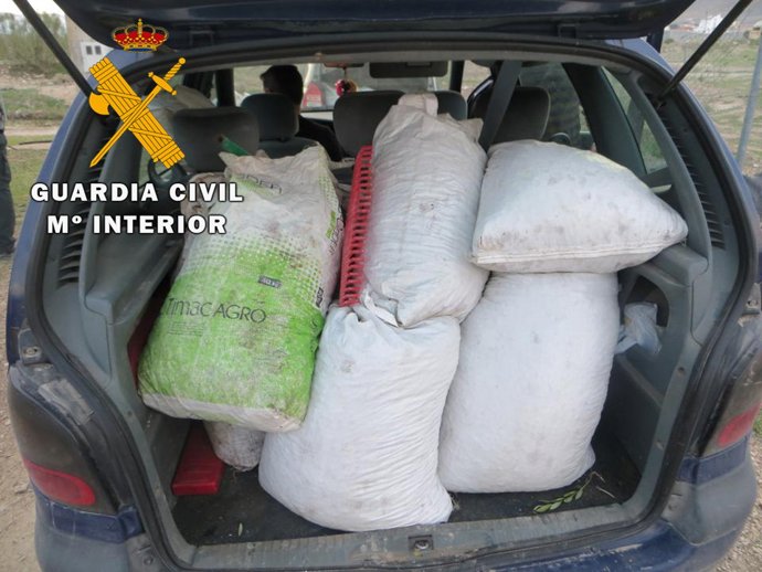 Intervención de uno de los vehículos con aceituna sin tener acreditada su procedencia