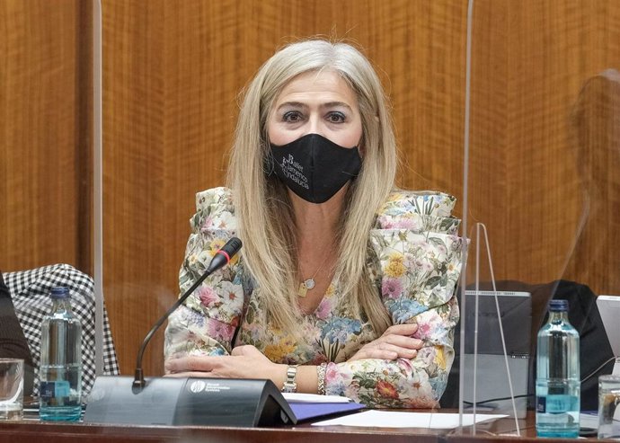 La consejera de Cultura y Patrimonio Histórico en comisión parlamentaria