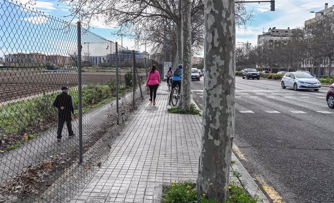 Futuro carril bici que conectará Valncia con Burjassot y Tavernes Blanques