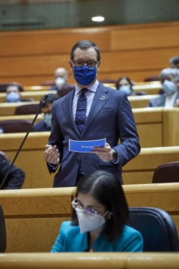 El portavoz del PP en el Senado, Javier Maroto durante una sesión de control al Gobierno en el Senado, en Madrid (España), a 2 de febrero de 2021. 