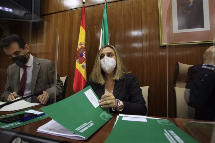 La consejera de Fomento, Infraestructuras y Ordenación del Territorio, Marifrán Carazo, en la Comisión de Fomento del Parlamento de Andalucía.
