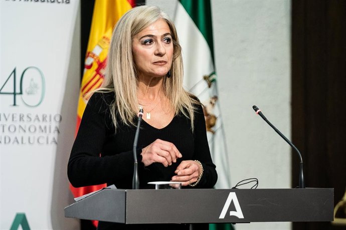 La consejera de Cultura y Patrimonio Histórico, Patricia del Pozo, en una imagen de archivo