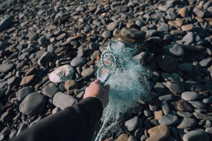 Fundación Ocean Born