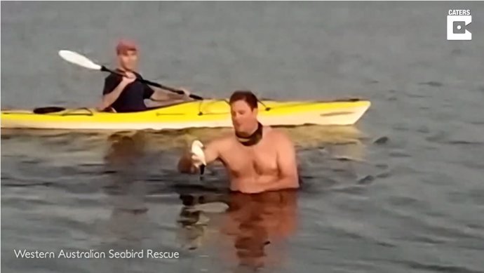 Un kayakista ayuda a rescatar una gaviota atrapada