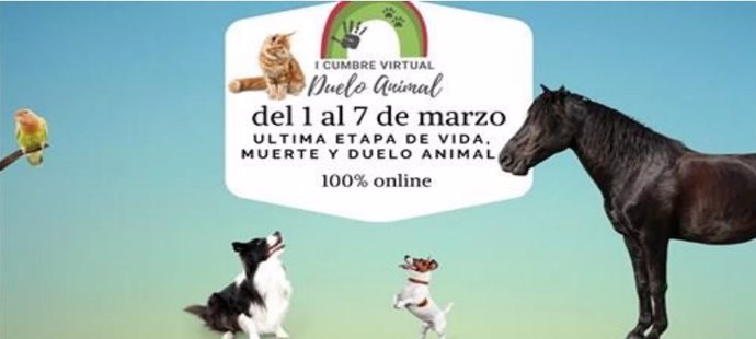Cartel de la I Cumbre Virtual Internacional del Duelo Animal.