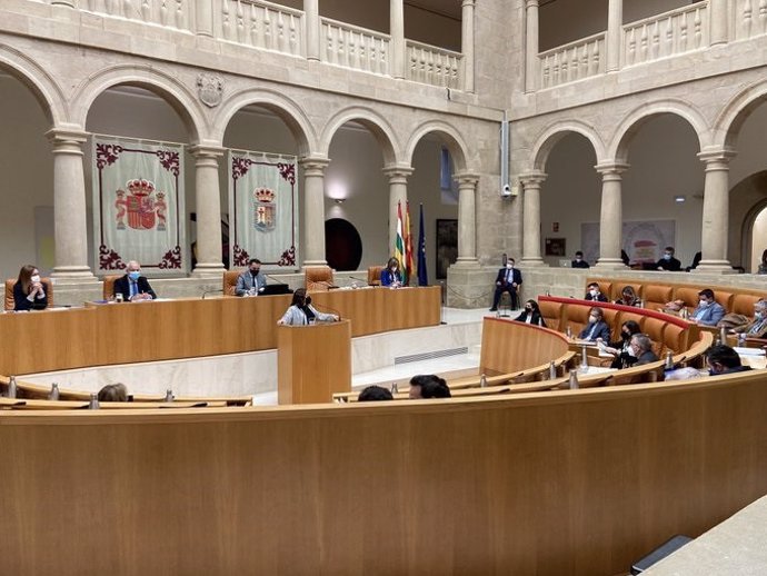 La diputada de IU La Rioja, Henar Moreno, defendiendo una de las Proposiciones No de Ley en el Parlamento riojano