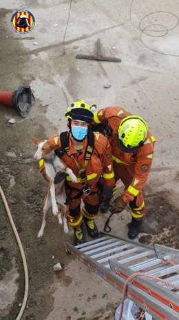 Bomberos rescatan a un perro podenco atrapado en una balsa