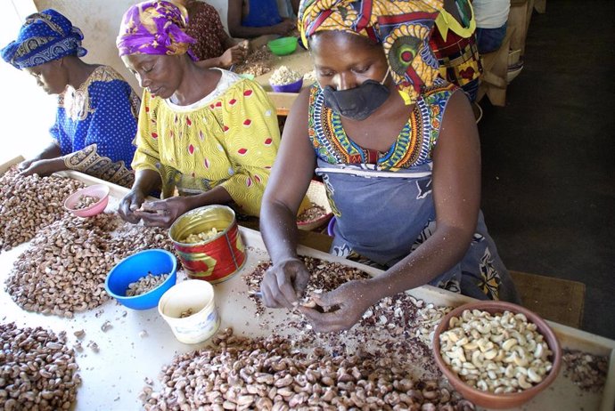 Mujeres africanas pelan anacardos.