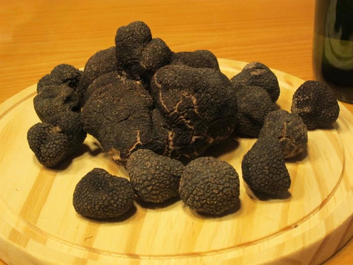 Archivo - Trufa, trufa negra, alimentación, alimento, recetas de cocina, gastronomía, cocina, cocinar