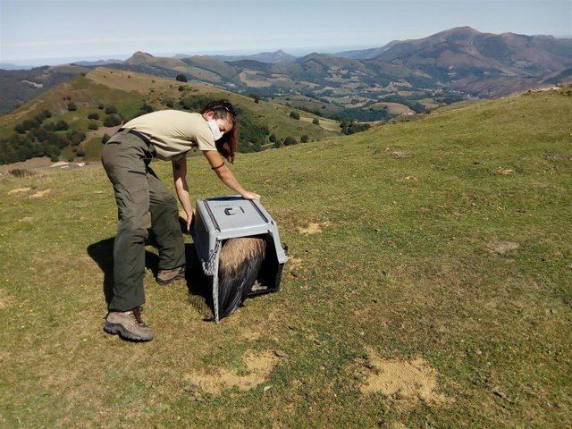Quince mujeres en el Guarderío de Medio Ambiente de Navarra