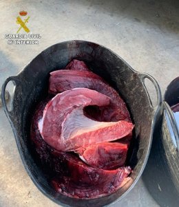 Archivo - Imagen de archivo de un atún pescado ilegalmente. 