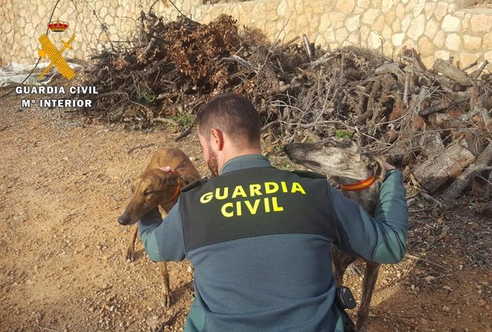 Opc Albacete. Nota De Prensa (Detención De 9 Personas Por La Caza Furtiva Con Perros Galgos).