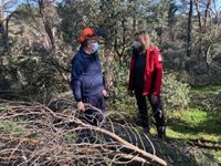 Paloma Martín critica el cierre "unilateral" de pistas de esquí en Navacerrada y augura que "destruirá empleo"
