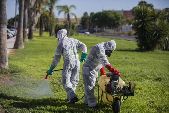 Archivo - Un trabajador durante las labores de fumigación contra los mosquitos causantes del virus del Nilo en Coria del Río, (Sevilla, Andalucía, España), a  17 de agosto de 2020.