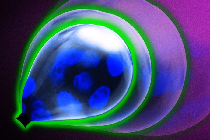 Investigadores del MIT han descubierto que una membrana biológica común tiene cualidades elásticas similares a las de un globo, pero también diferentes, lo que podría ayudar a evitar la metástasis de las células cancerosas.