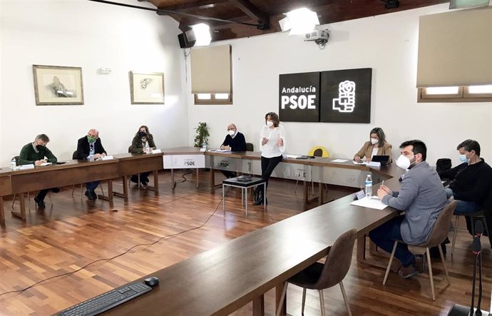 Reunión de la Ejecutiva Regional del PSOE-A, encabezada por la secretaria general, Susana Díaz.