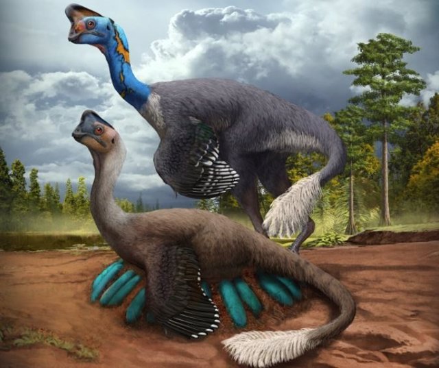 Un atento dinosaurio terópodo ovirraptórido incuba su nido de huevos azul verdosos mientras su compañero observa en lo que hoy es la provincia de Jiangxi, en el sur de China, hace unos 70 millones de años.